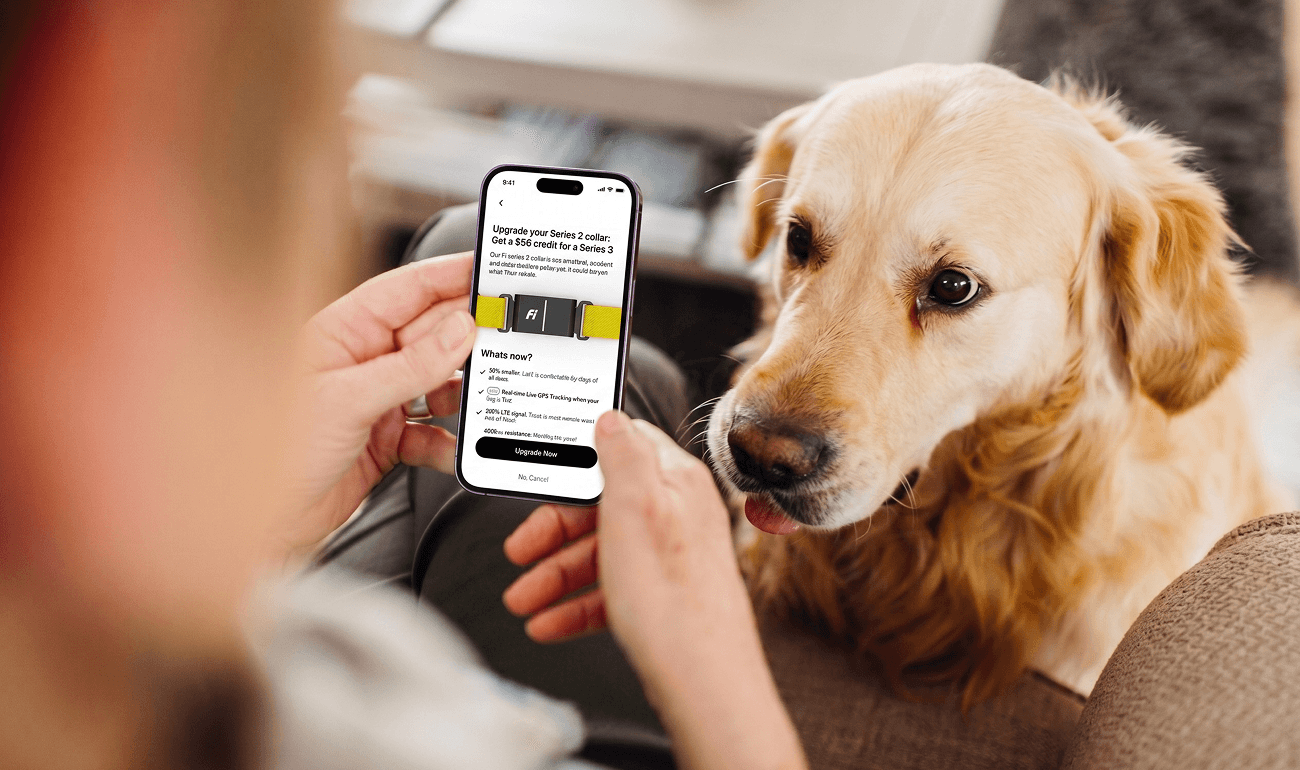Balancing retention and clarity in a dog app's cancellation flow